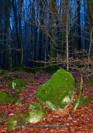 The Rock (Rossmore)