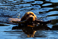 Friends Out and About (Click to see Photo)