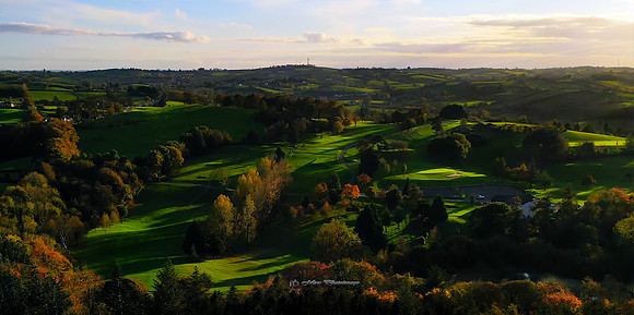 Golf on a Sunny Evening (Monaghan)