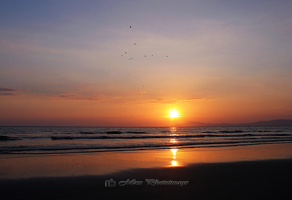 The Last Flight (Bundoran)