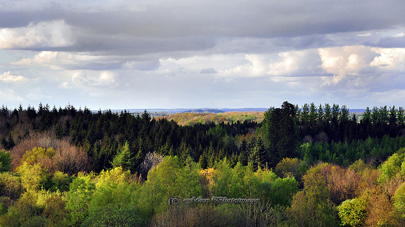 View from the Castle Steps (Rossmore)