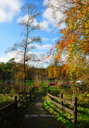 The Car Park in Autumn (Rossmore)
