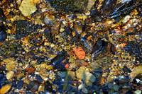 The Riverbed (Rossmore)