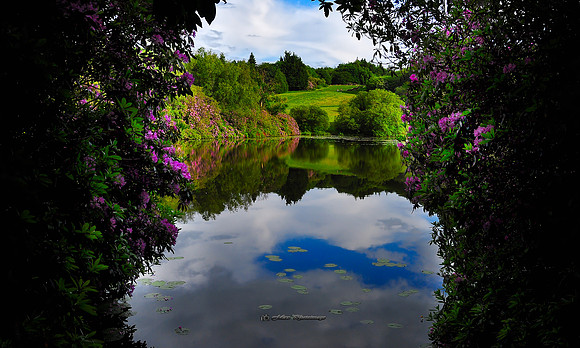 The Mirror Framed II (Rossmore)