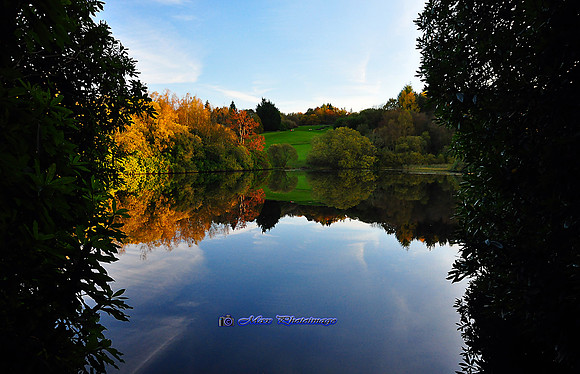 The Mirror Framed (Rossmore)