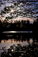 Sunset Silhouette (Rossmore)