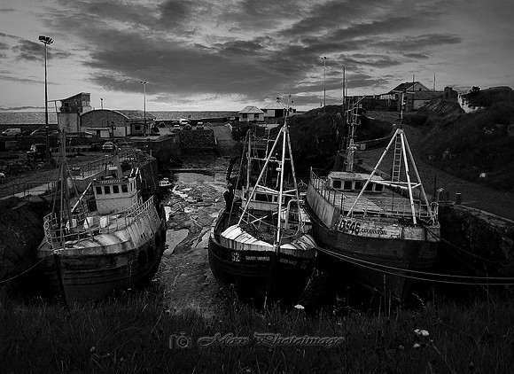 3 Old Friends (Annagassan)