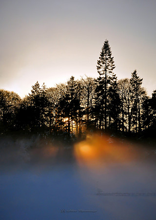 Misty Sunset (Rossmore)
