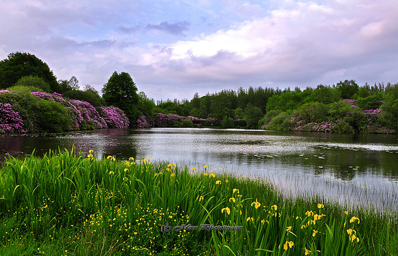 Summer Lake (Rossmore)