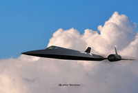 The Blackbird (New York)