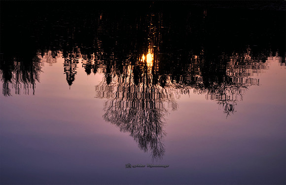 A Reflection on Sunset (Rossmore)