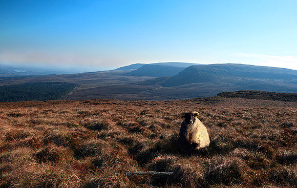 Sunset on Iron Mountain (Leitrim)
