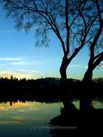 Calm Before Night (Muckno Park)