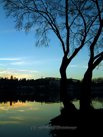 Calm Before Night (Muckno Park)