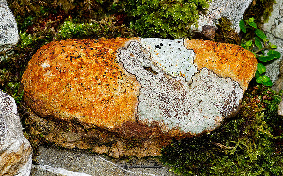 The Pixie behind the Map Stone (Rossmore)