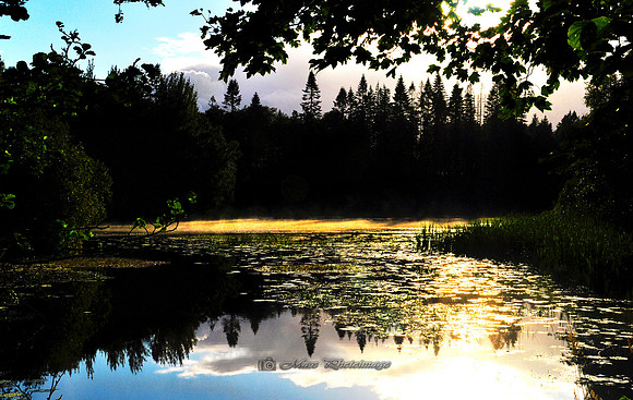 Sunset after Rain (Rossmore)