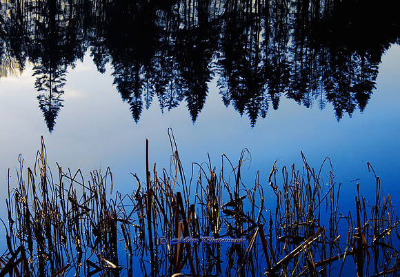 Blue Symmetry (Rossmore)