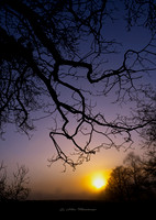 Sunset in Fog (Rossmore)