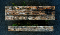 Wood in Tar (Rossmore)