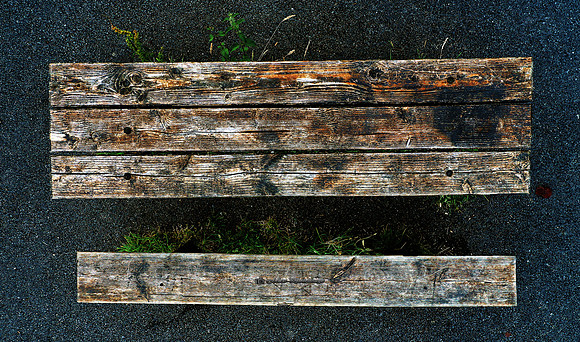 Wood in Tar (Rossmore)