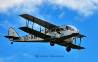 Aer Lingus IOLAR (Abbeyshrule)