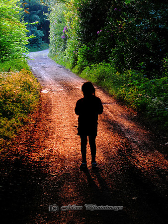 Into the Light (Rossmore)