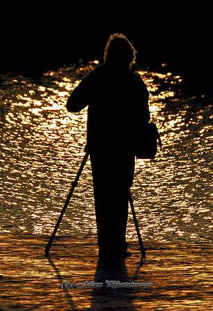 The Photographer (Hollywood)