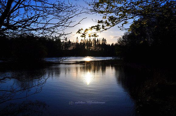 Blue Sunset (Rossmore)