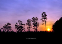 Fiery Sunset (Rossmore)