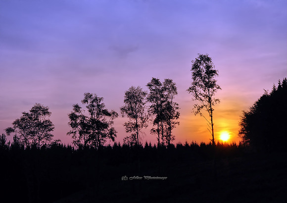 Fiery Sunset (Rossmore)