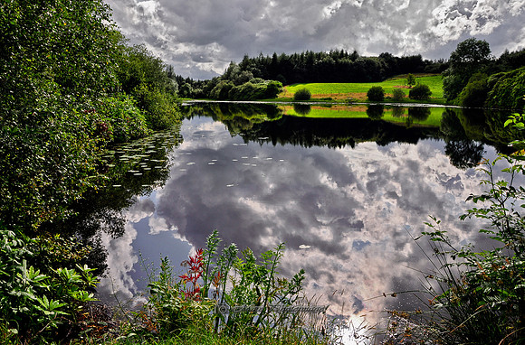 Castle Lake in Summer (Rossmore)