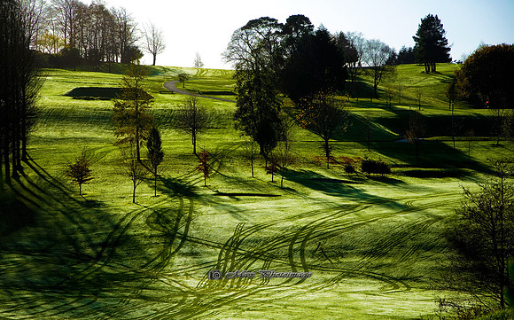 Golf on a Frosty Morning (Rossmore)
